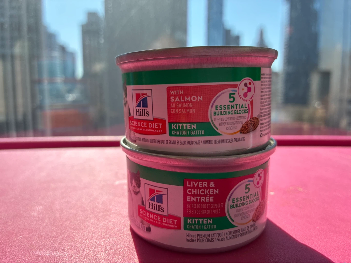Lot of 42 Hill's Science Diet Kitten Wet Cat Food kitten pet