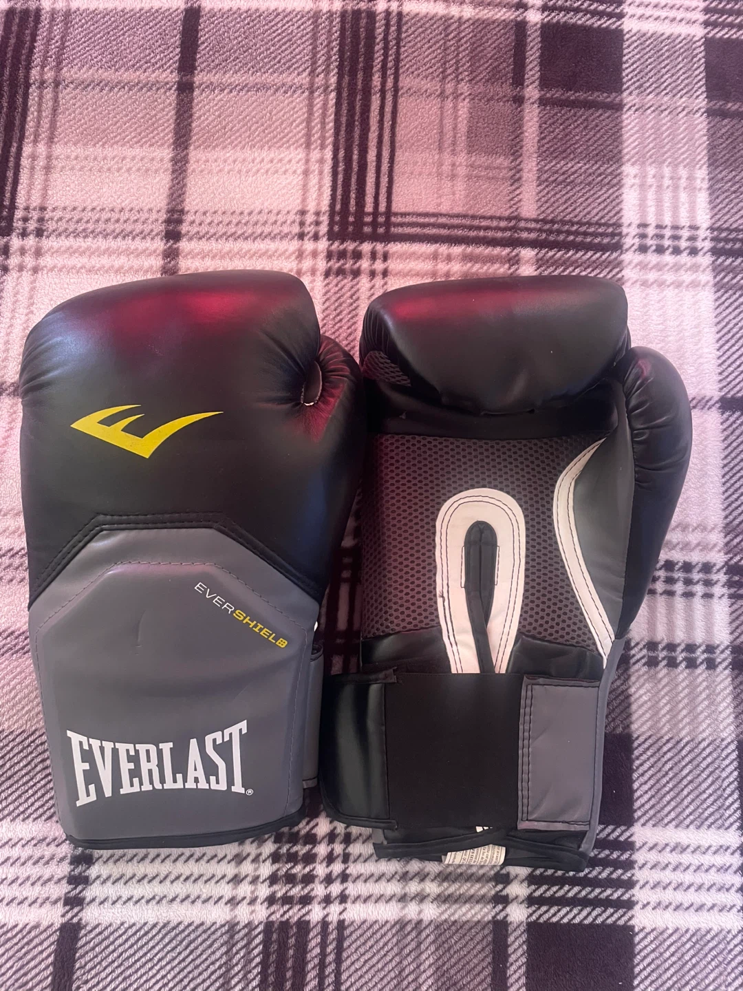 Everlast Boxing Gloves