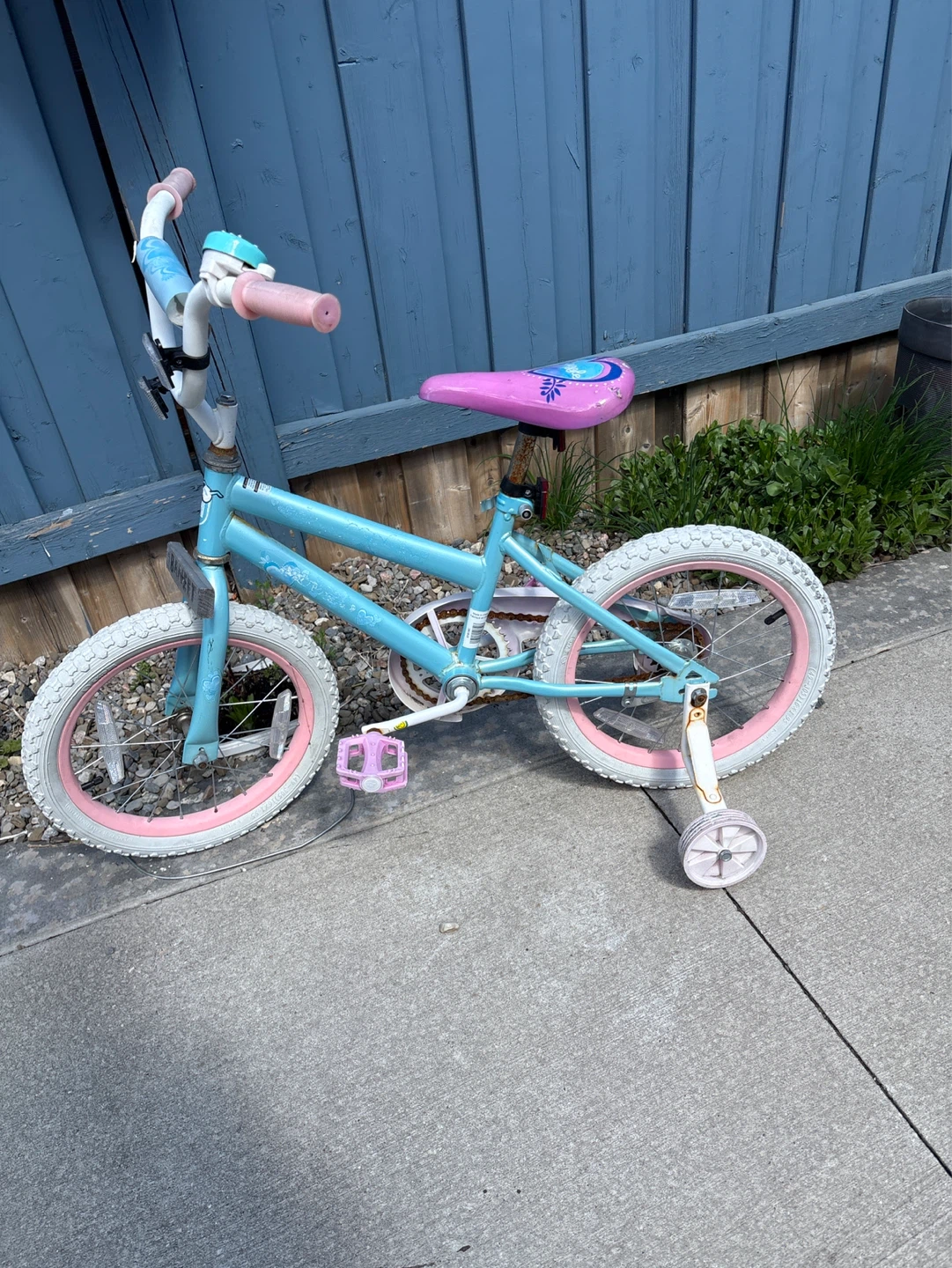 Blue and Pink Kids' Training Wheel Bike