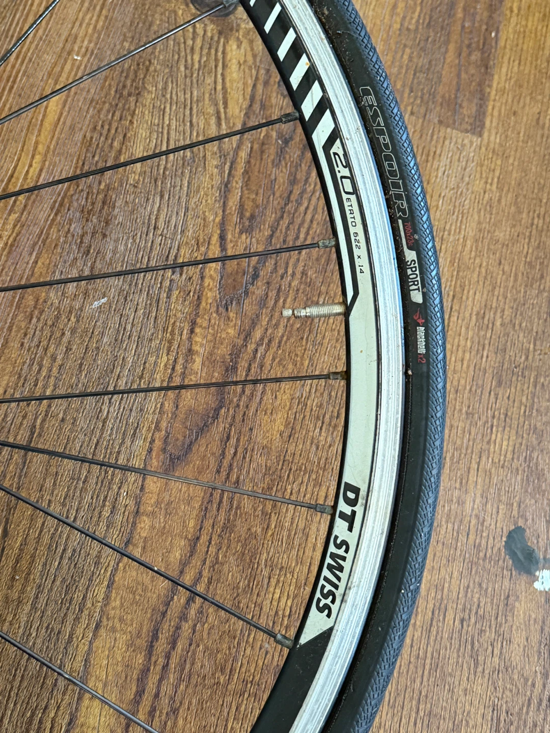 DT Swiss R20 Wheel - photo 4