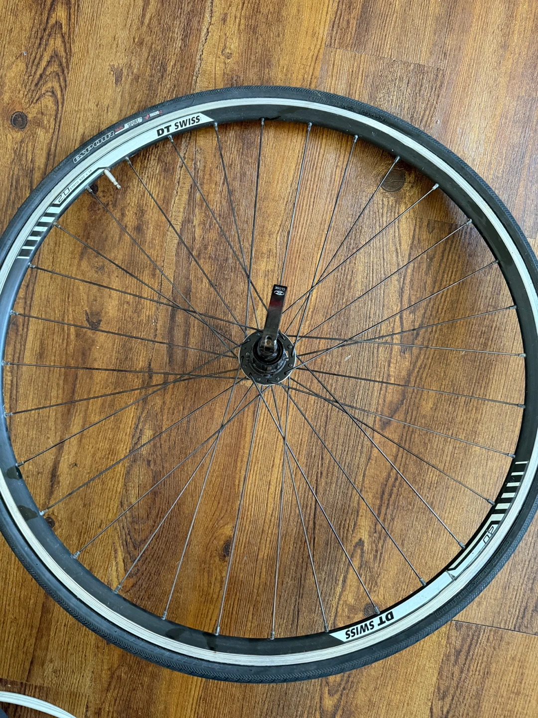 DT Swiss R20 Wheel