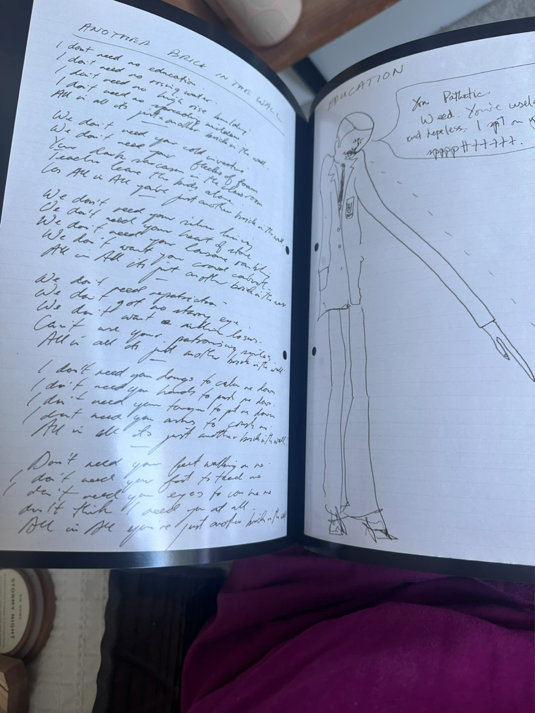 Pink Floyd Their Mortal Remains Book - photo 5