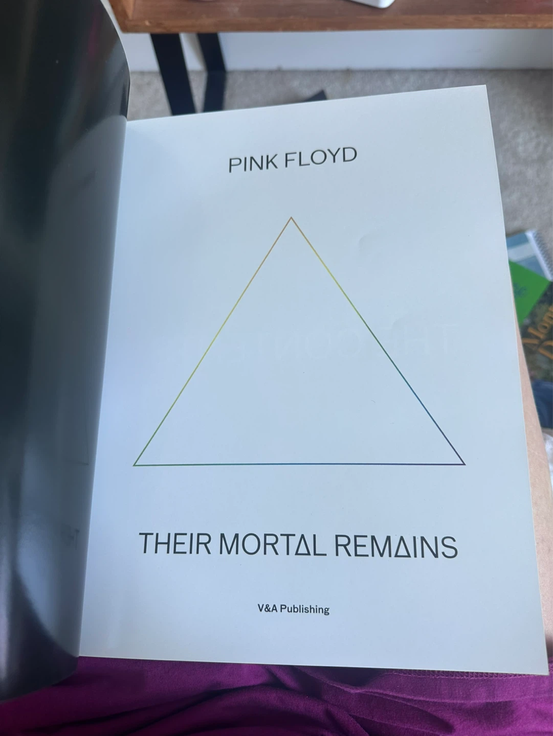 Pink Floyd Their Mortal Remains Book - photo 2
