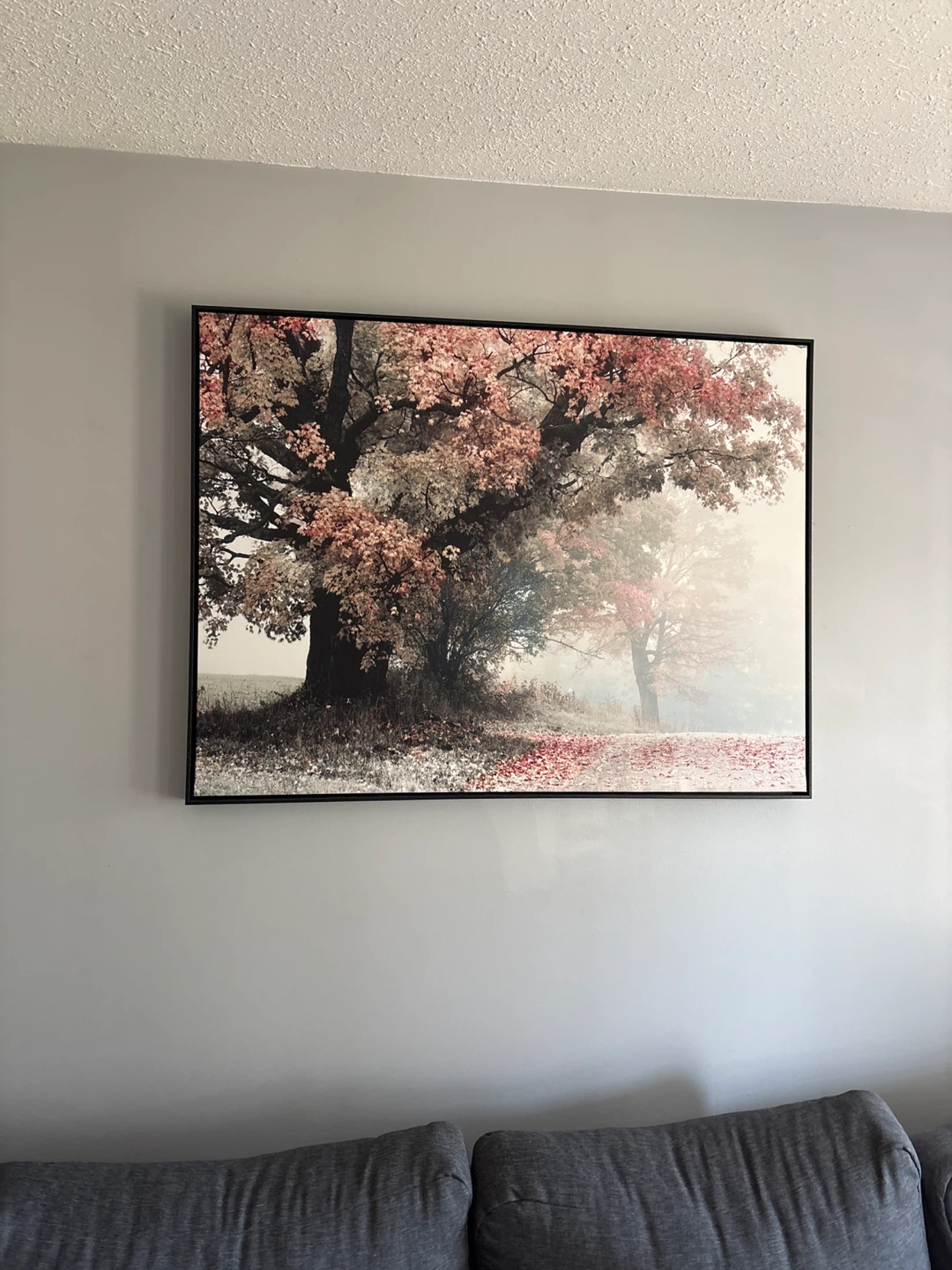 Framed Canvas Wall Art - Autumn Tree Scene