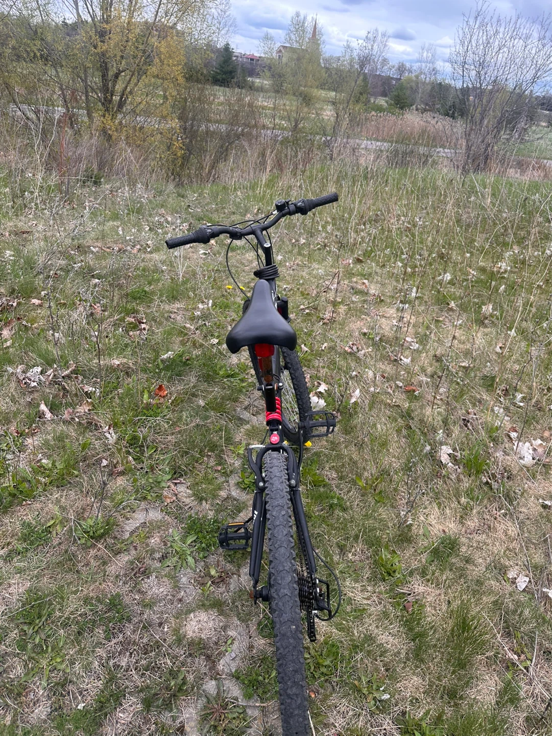 Black Mountain Bike - photo 3