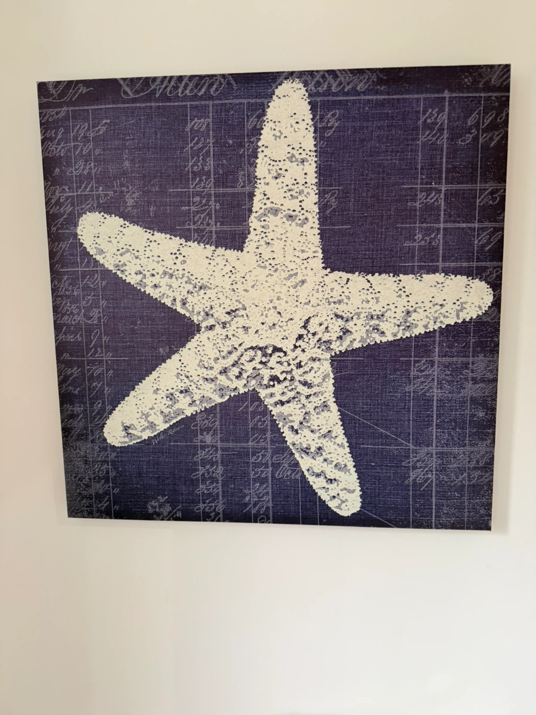 Starfish Canvas Wall Art