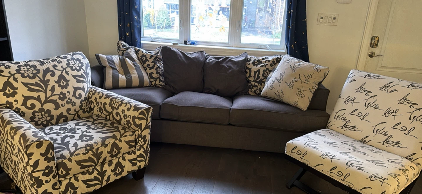Accent Chair and Sofa Set