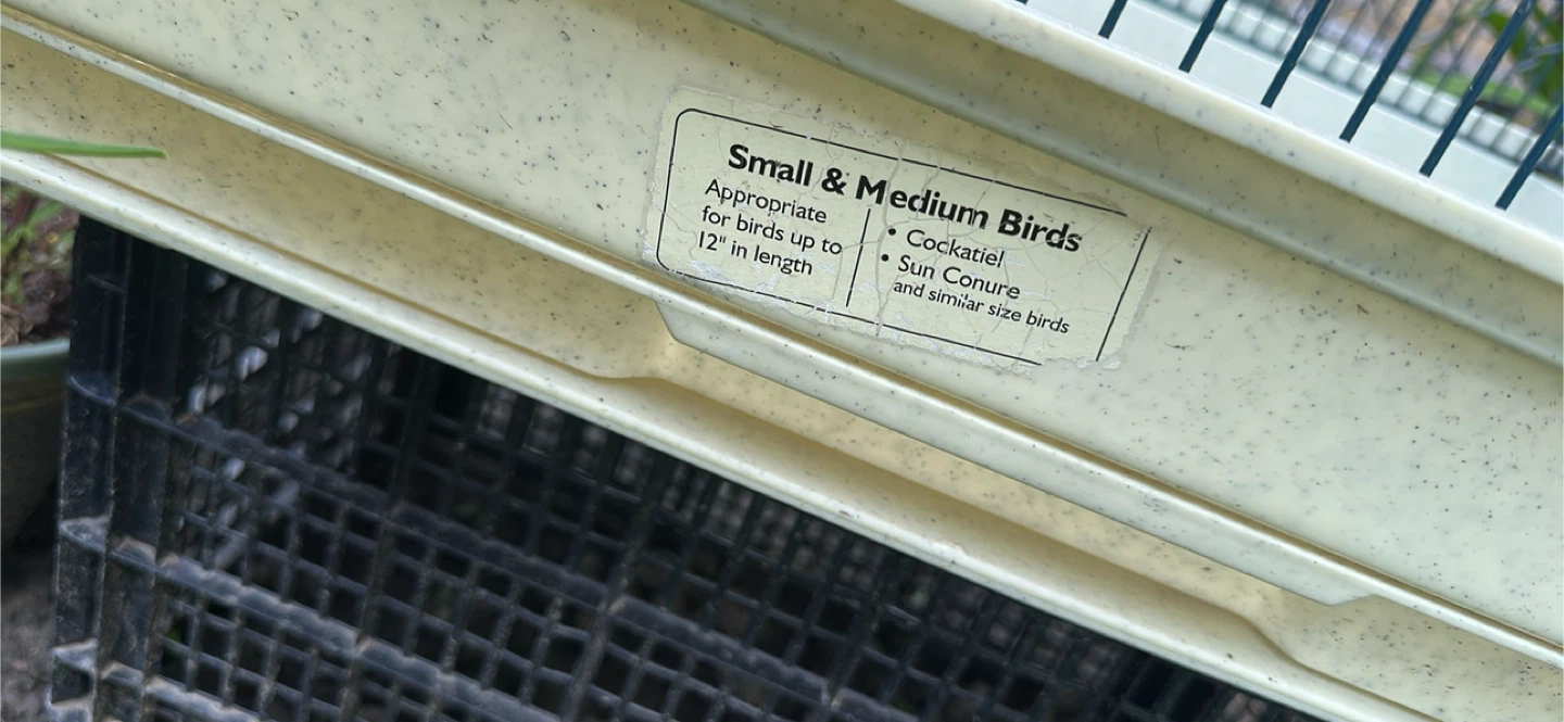 Small & Medium Bird Cage for Cockatiels, Sun Conures - photo 2
