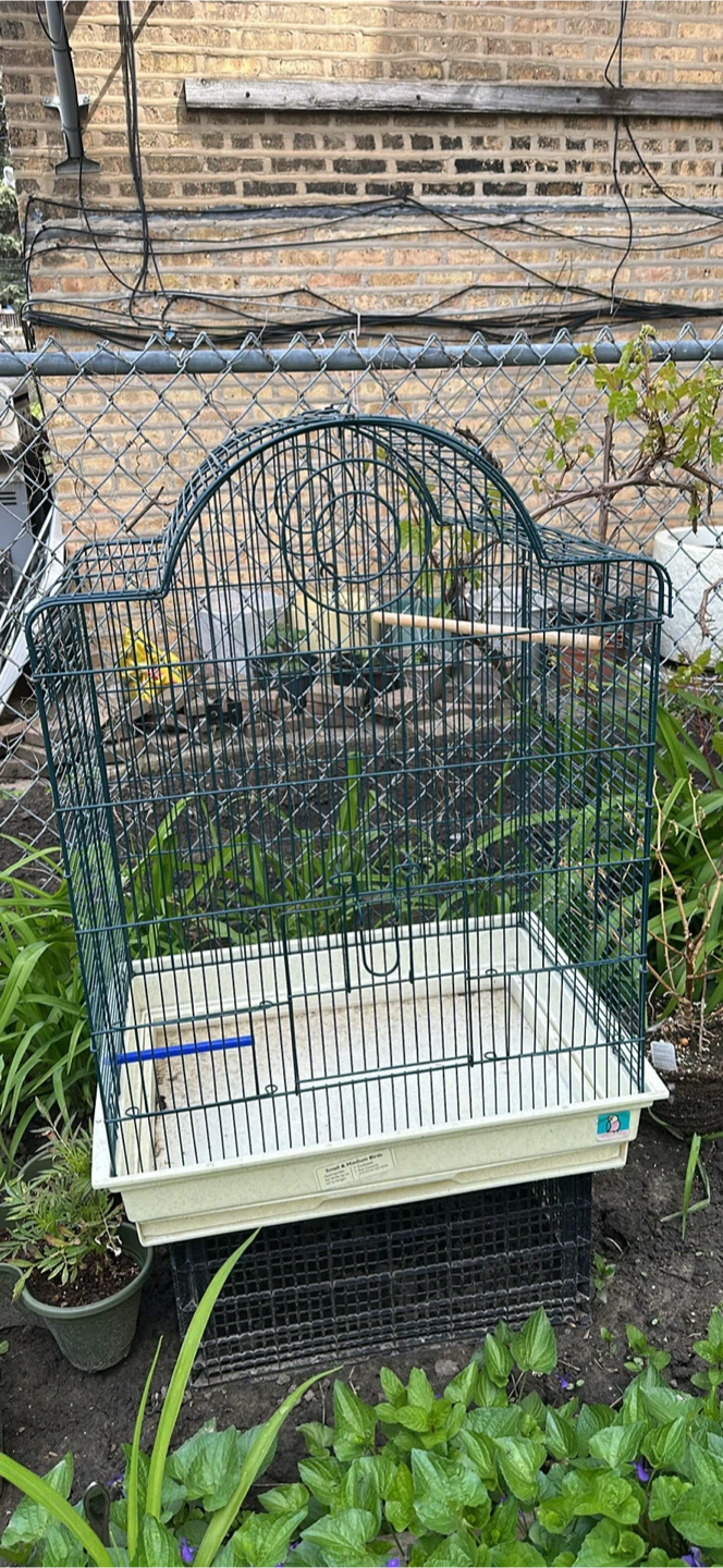 Small & Medium Bird Cage for Cockatiels, Sun Conures