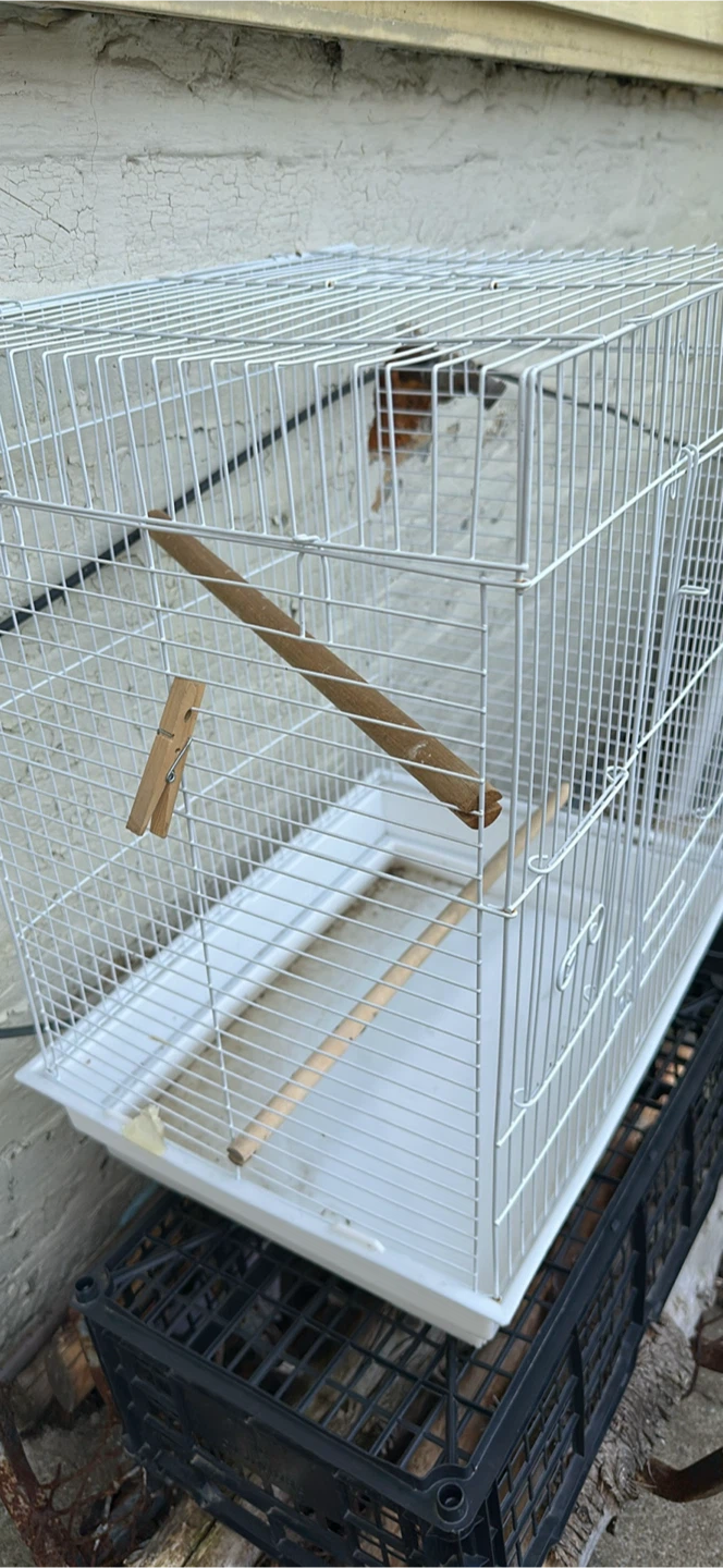 White Bird Cage - photo 2