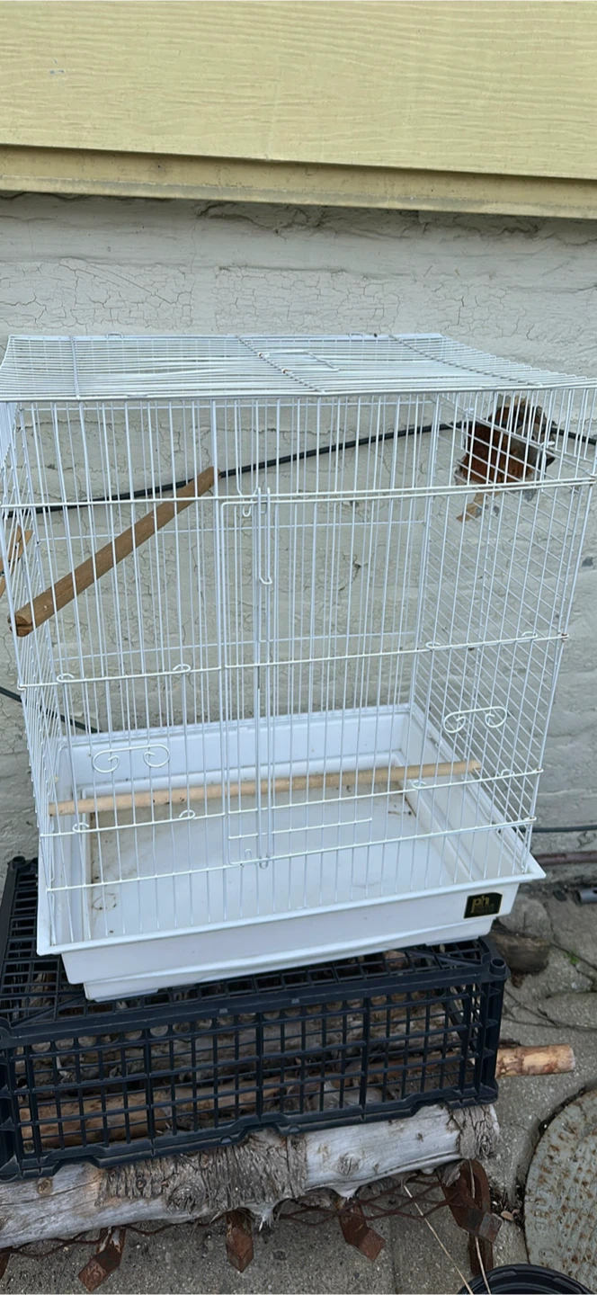 White Bird Cage