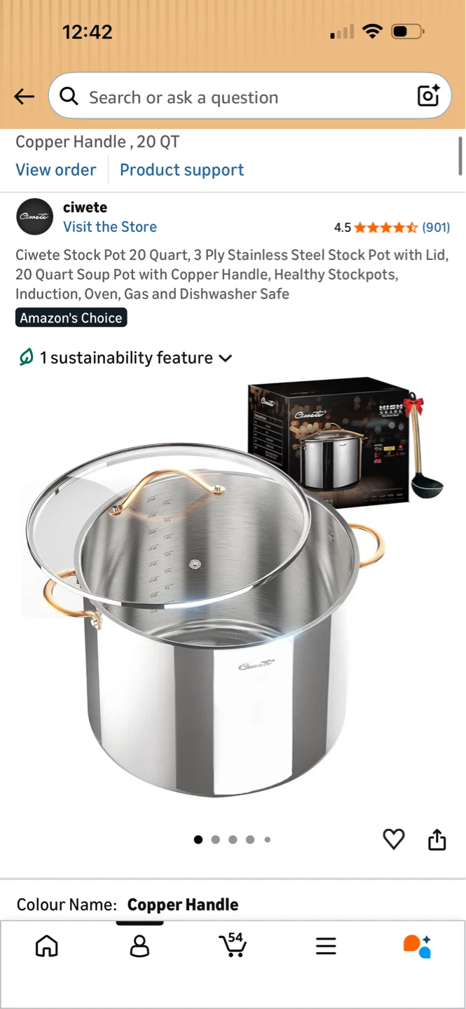 Ciwete 20 Quart Stock Pot with Copper Handle