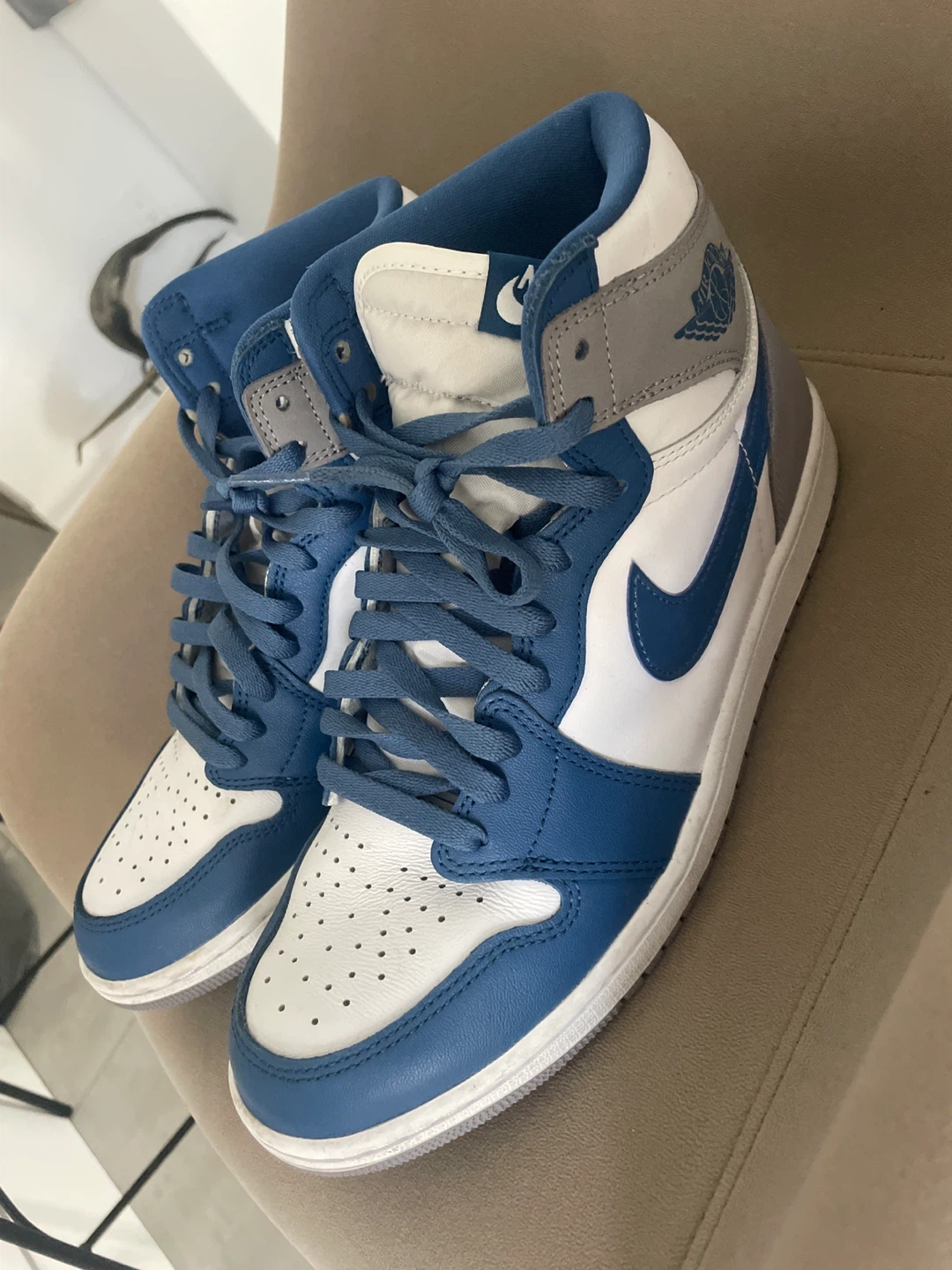 Nike Air Jordan 1 High OG Shoes