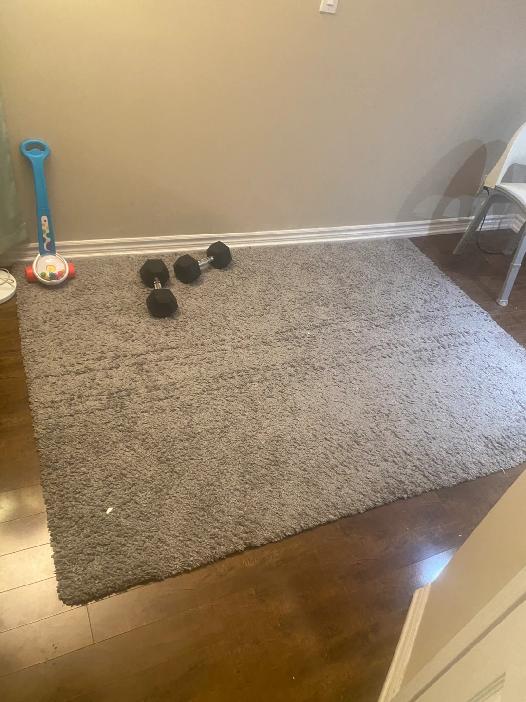 Grey Shaggy Area Rug