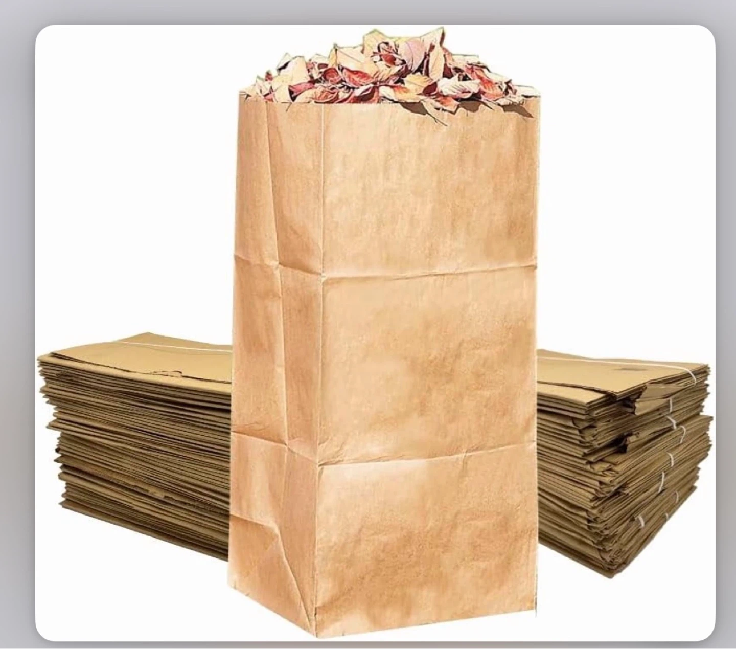 Leaf Rake and Yard Waste Bags - photo 3
