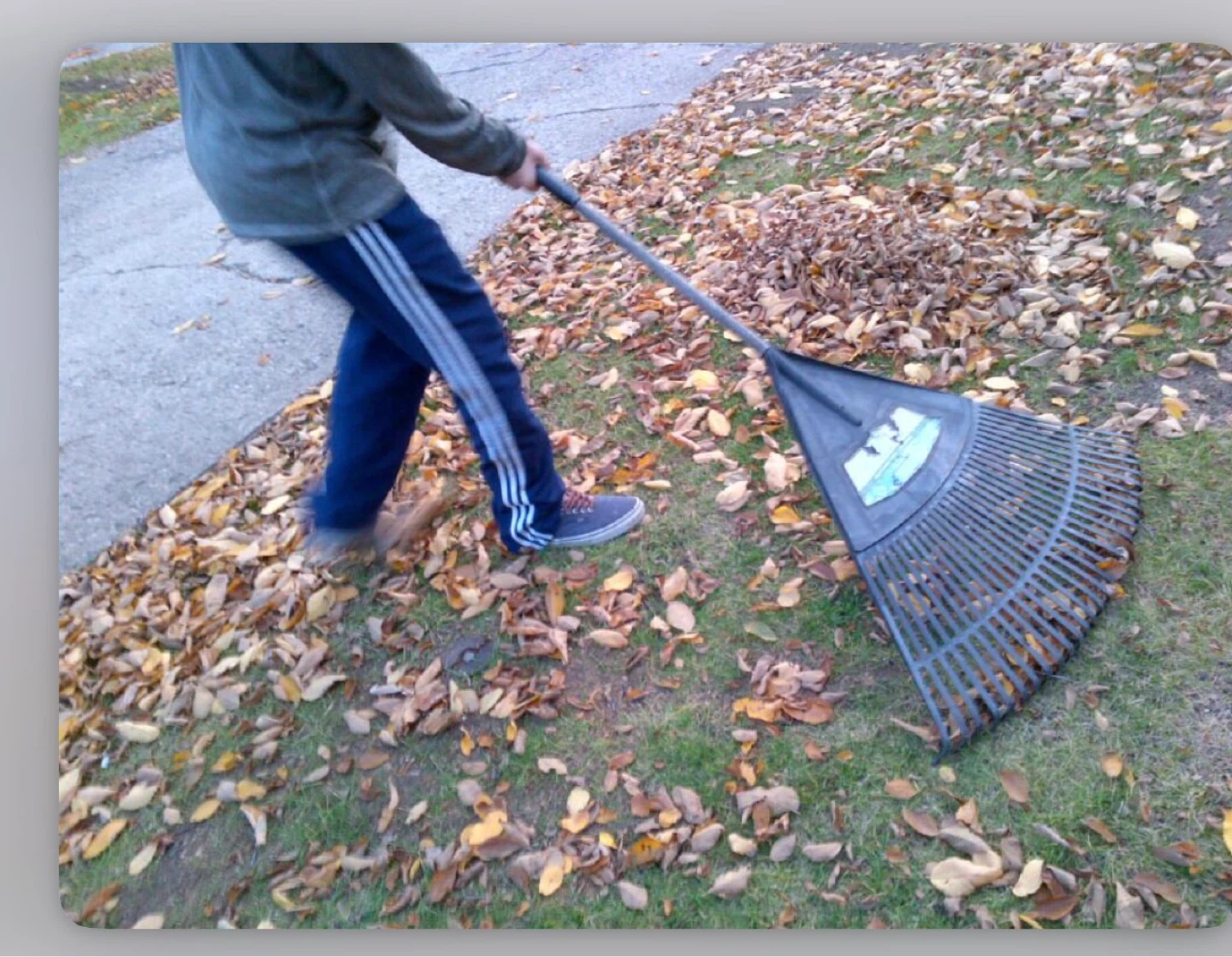 Leaf Rake and Yard Waste Bags - photo 2