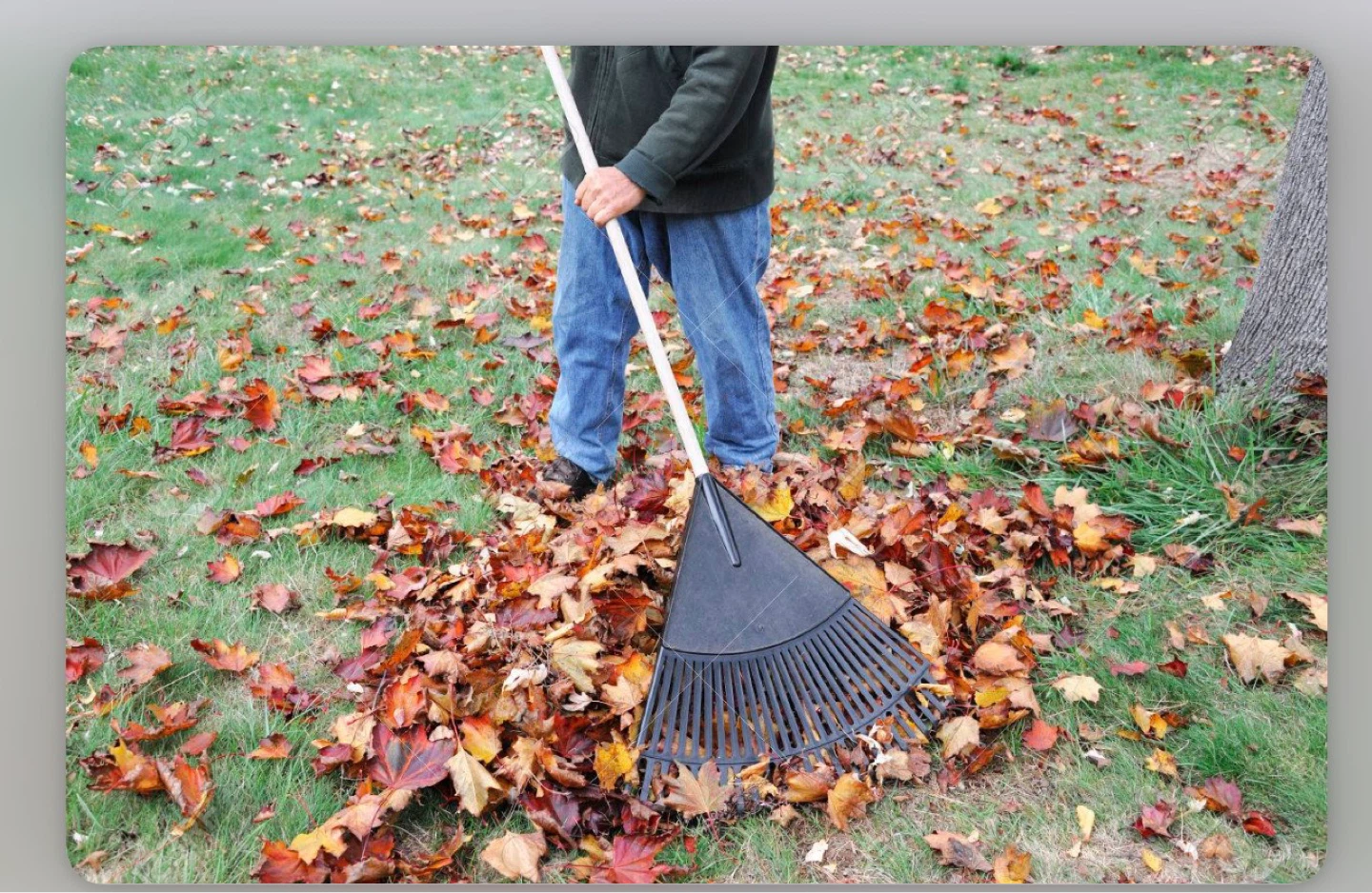 Leaf Rake and Yard Waste Bags
