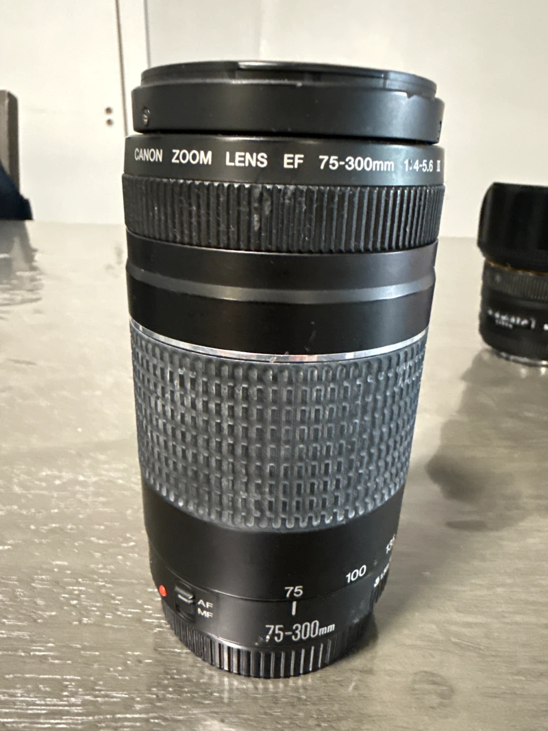 Canon EF 75-300mm f/4-5.6 III Zoom Lens - photo 3