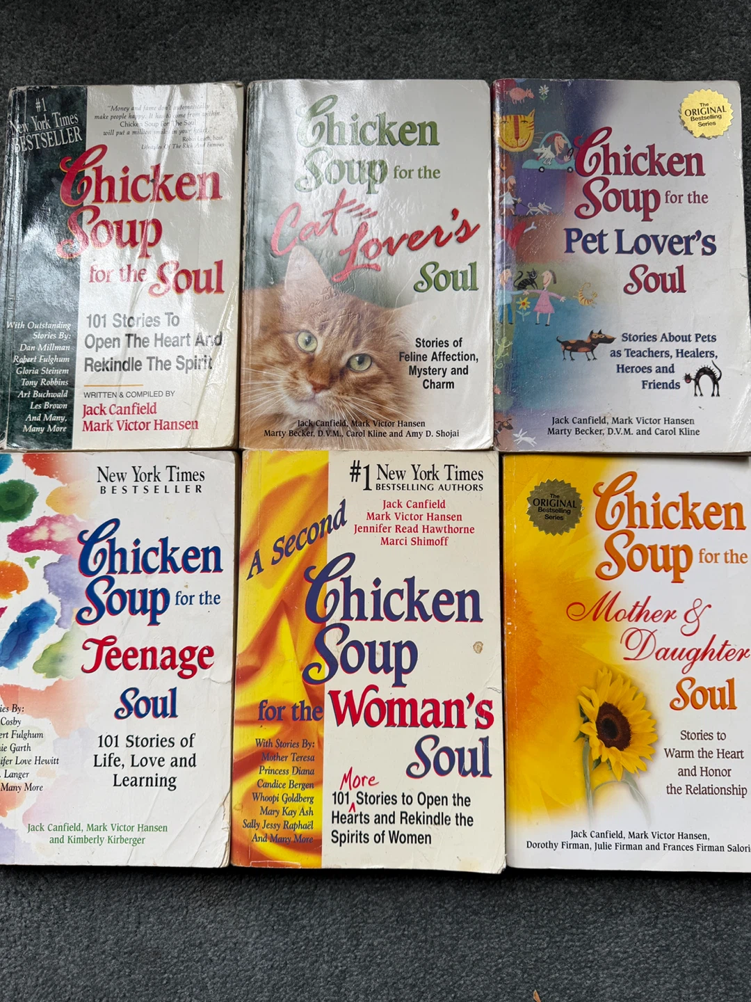 6Chicken Soup for the Soul Book Collection