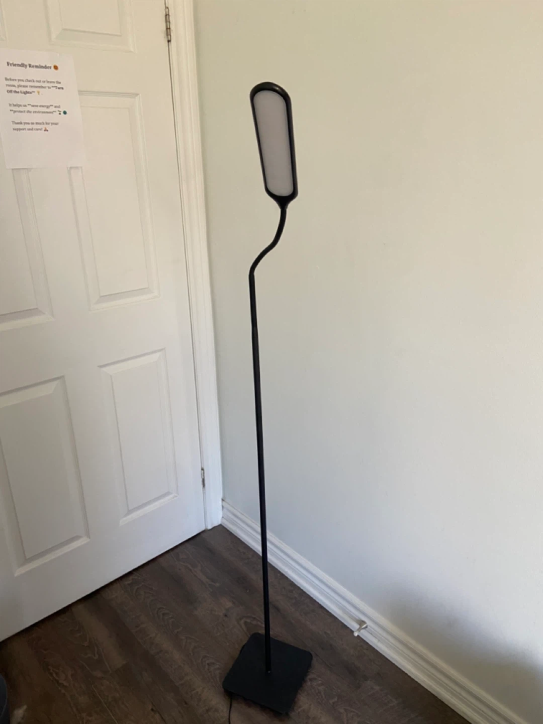 Black Floor Lamp with Adjustable Light