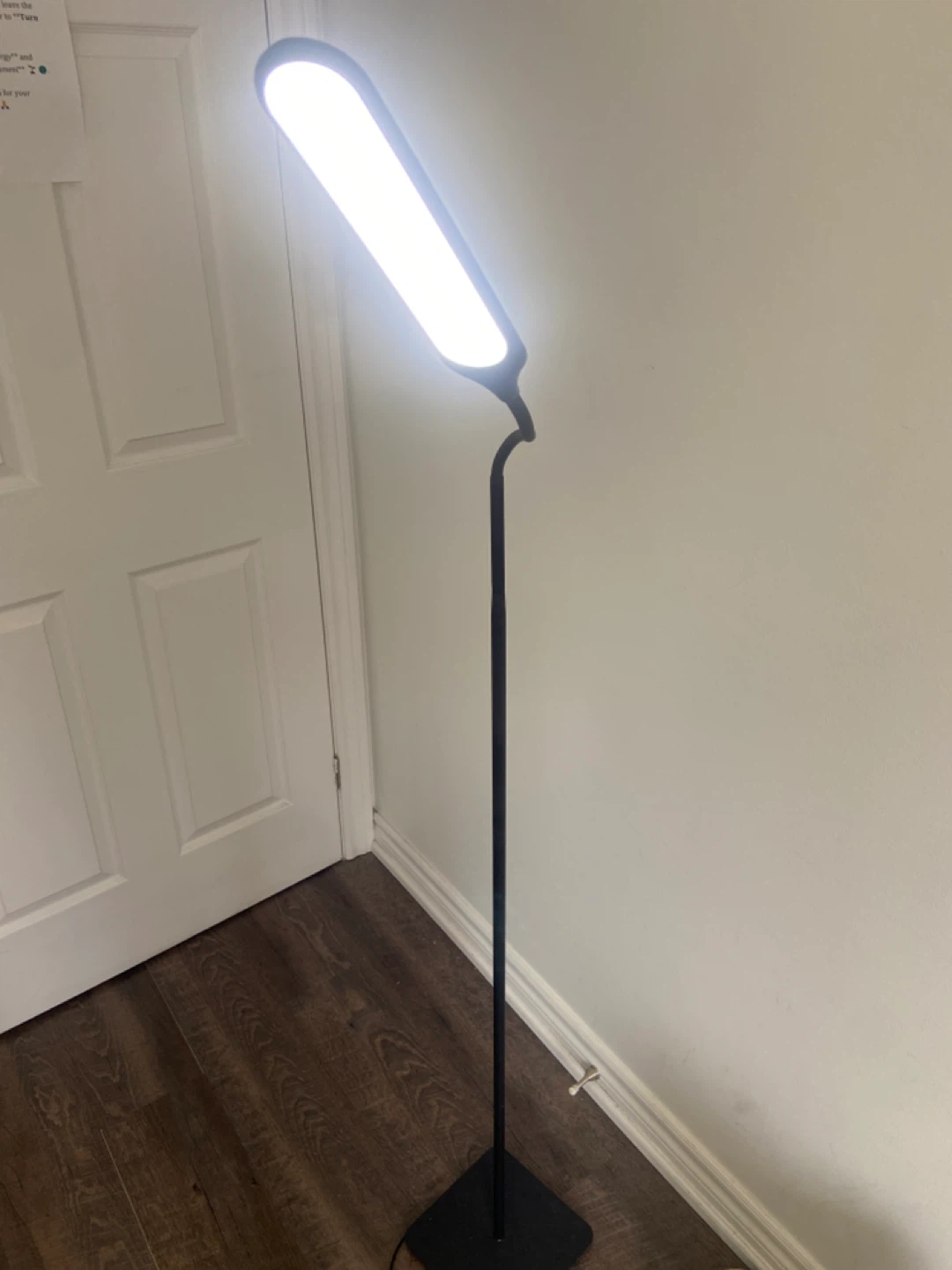 Black Floor Lamp with Adjustable Light - photo 2