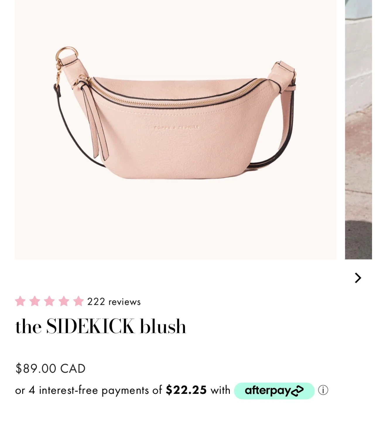 Poppy & Peonies The Sidekick Blush Fanny Pack - photo 3