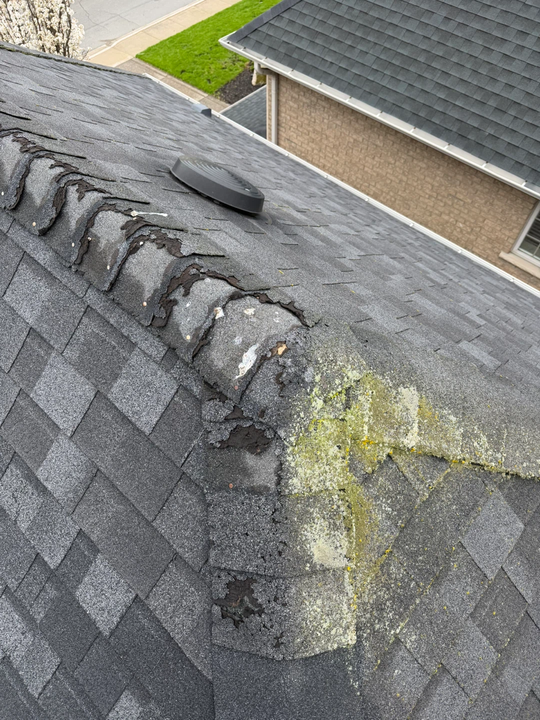 Roof repair roofing shingles vents flashing - photo 4