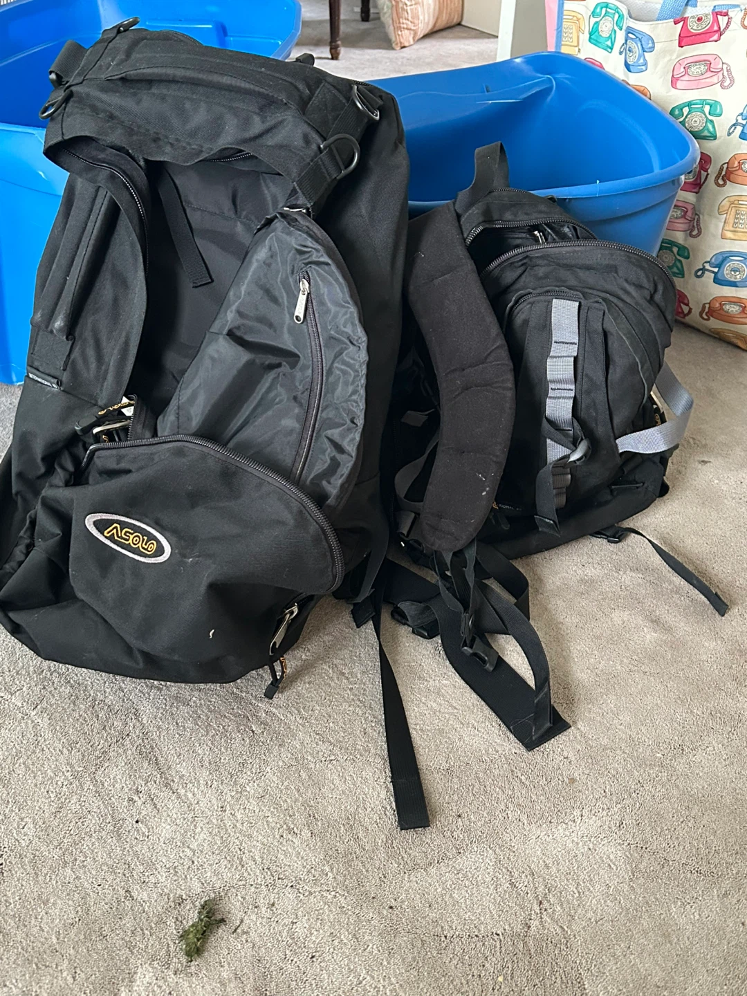 Black Asolo Backpack $45