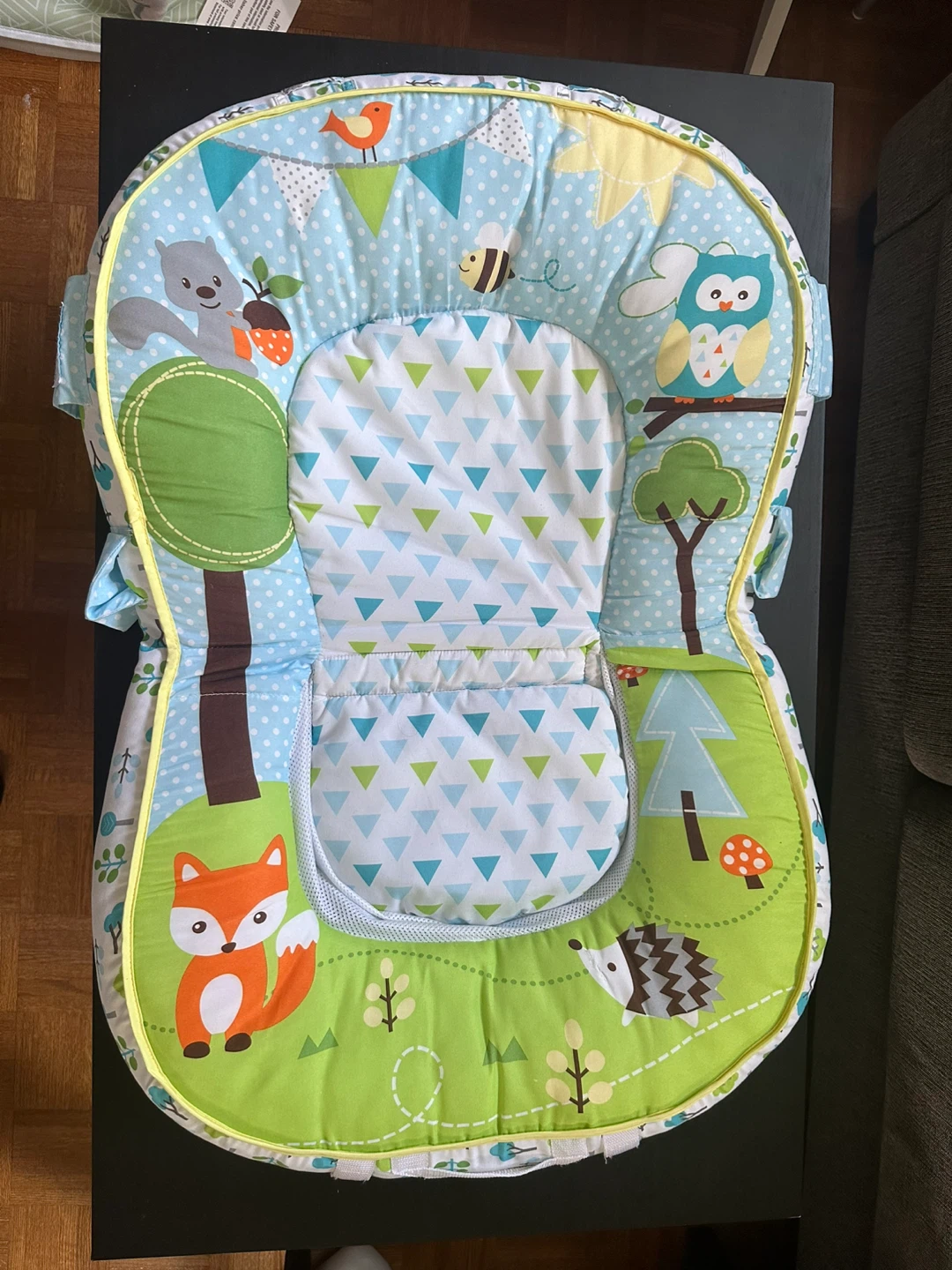 Newborn-Infant Lounger Seat or Bath Insert Cushion