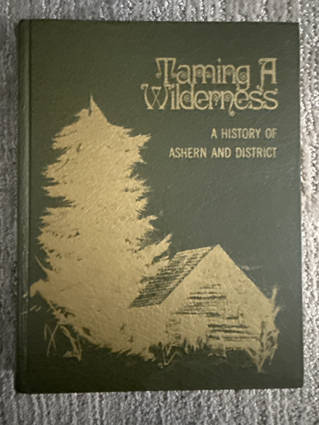 Taming a Wilderness: A History of Ashern and District Book