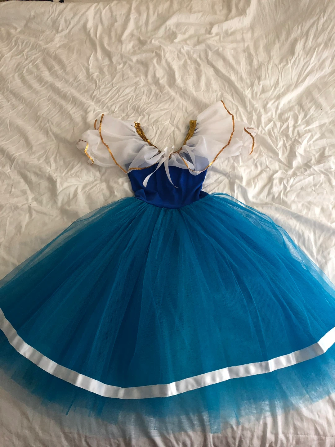 Blue Tutu Dress with White Puffy Sleeves
