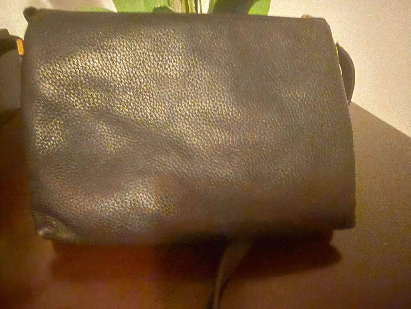 Marc Jacobs purse - photo 3