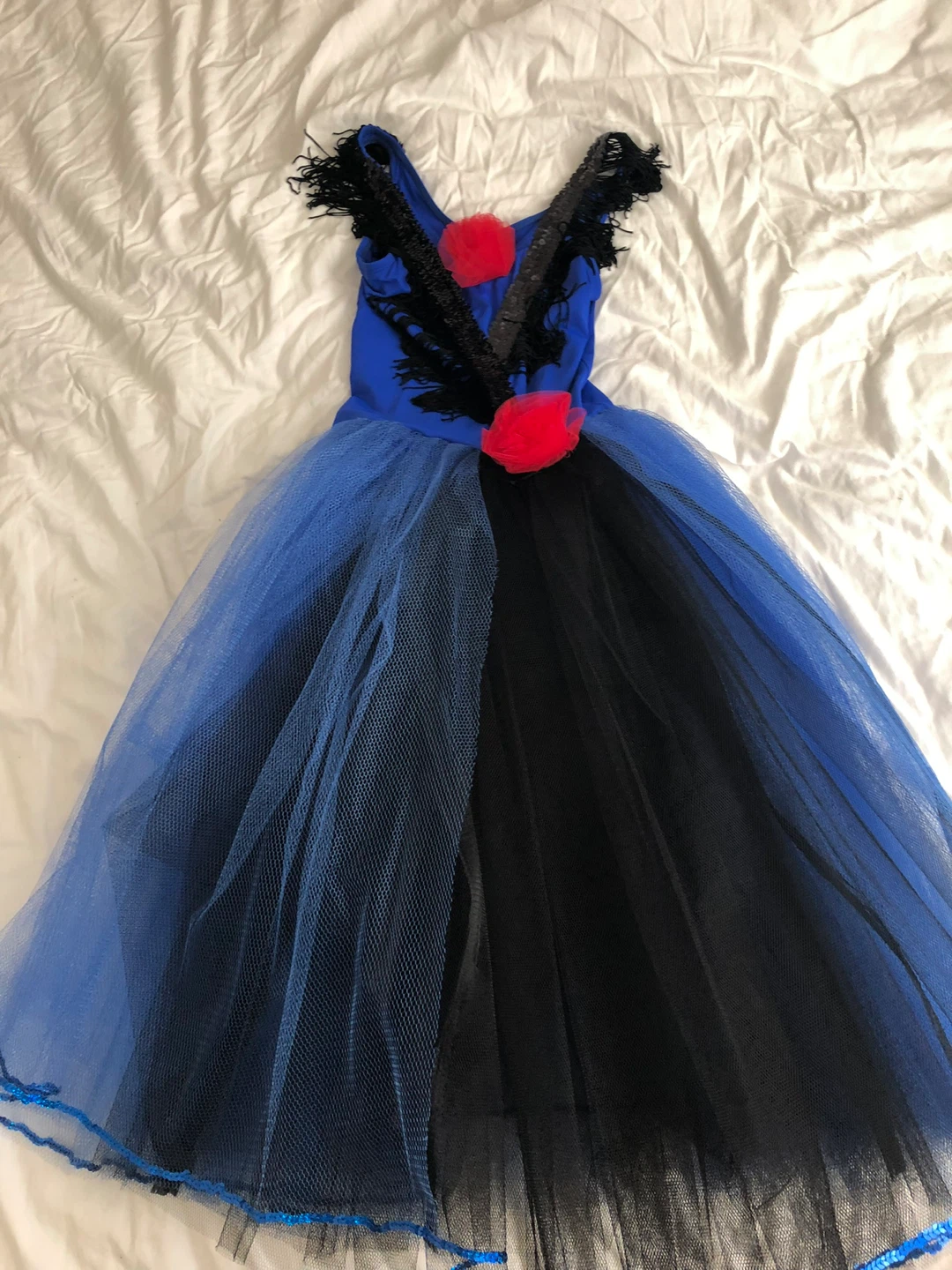 Blue and Black Tutu Dress with Red Flowers