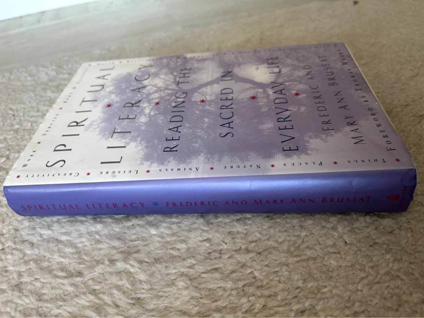 Spiritual literacy book as good as new - photo 2
