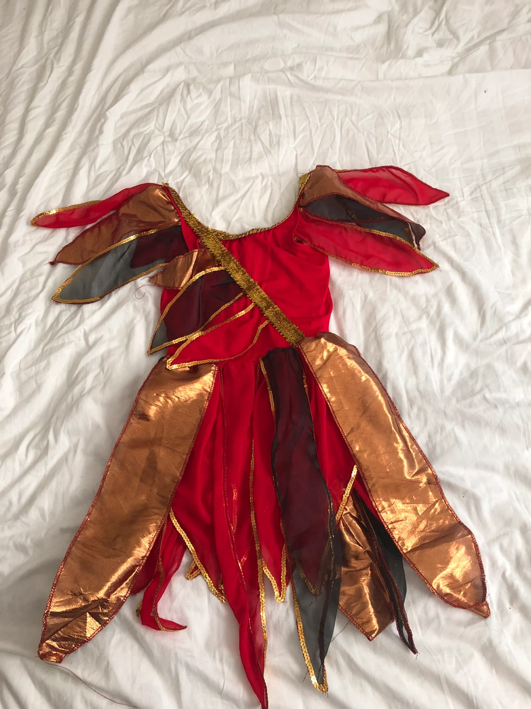 Red and Gold Costume