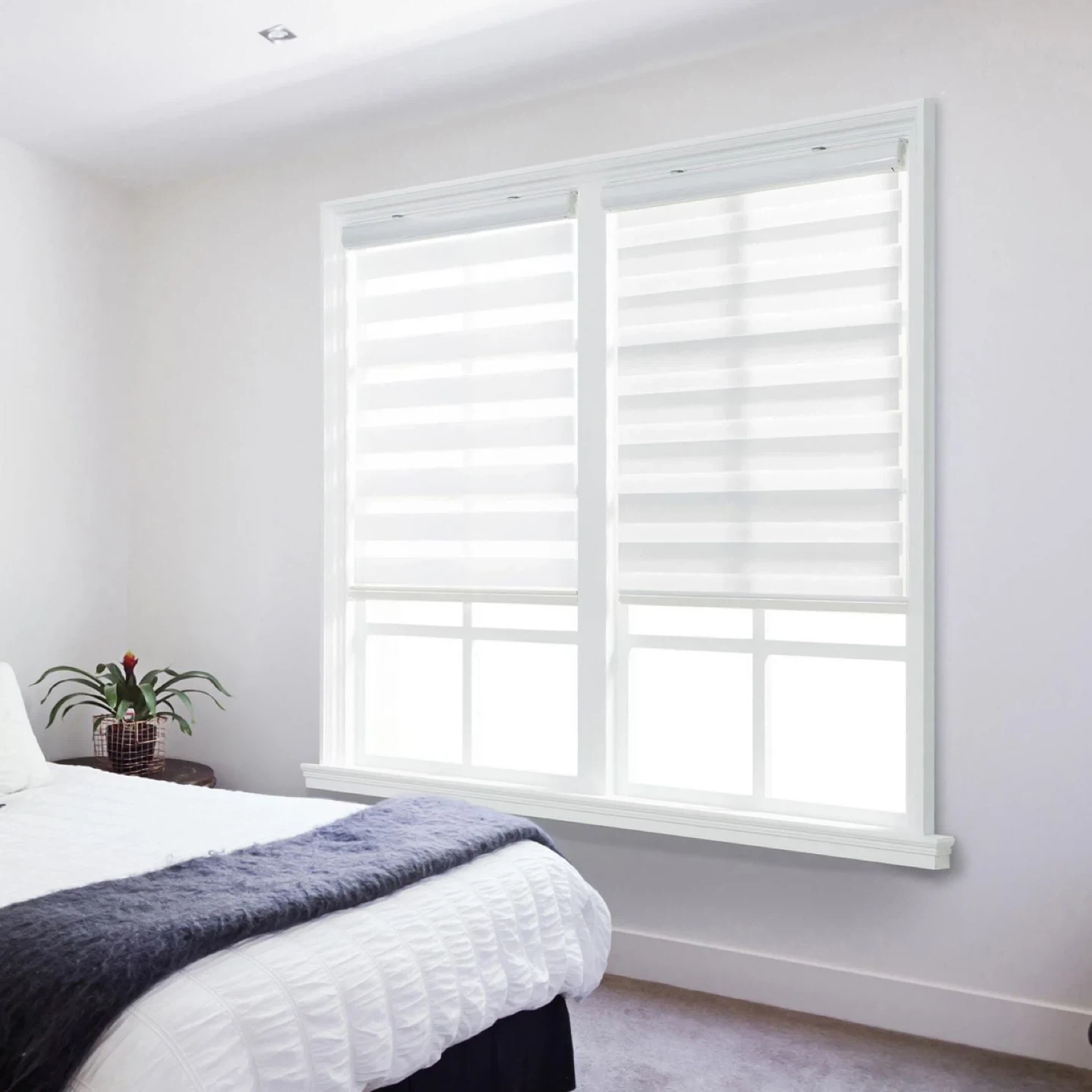 2 NEW Cordless Zebra Roller Shades 34x72 Light Filtering Blinds