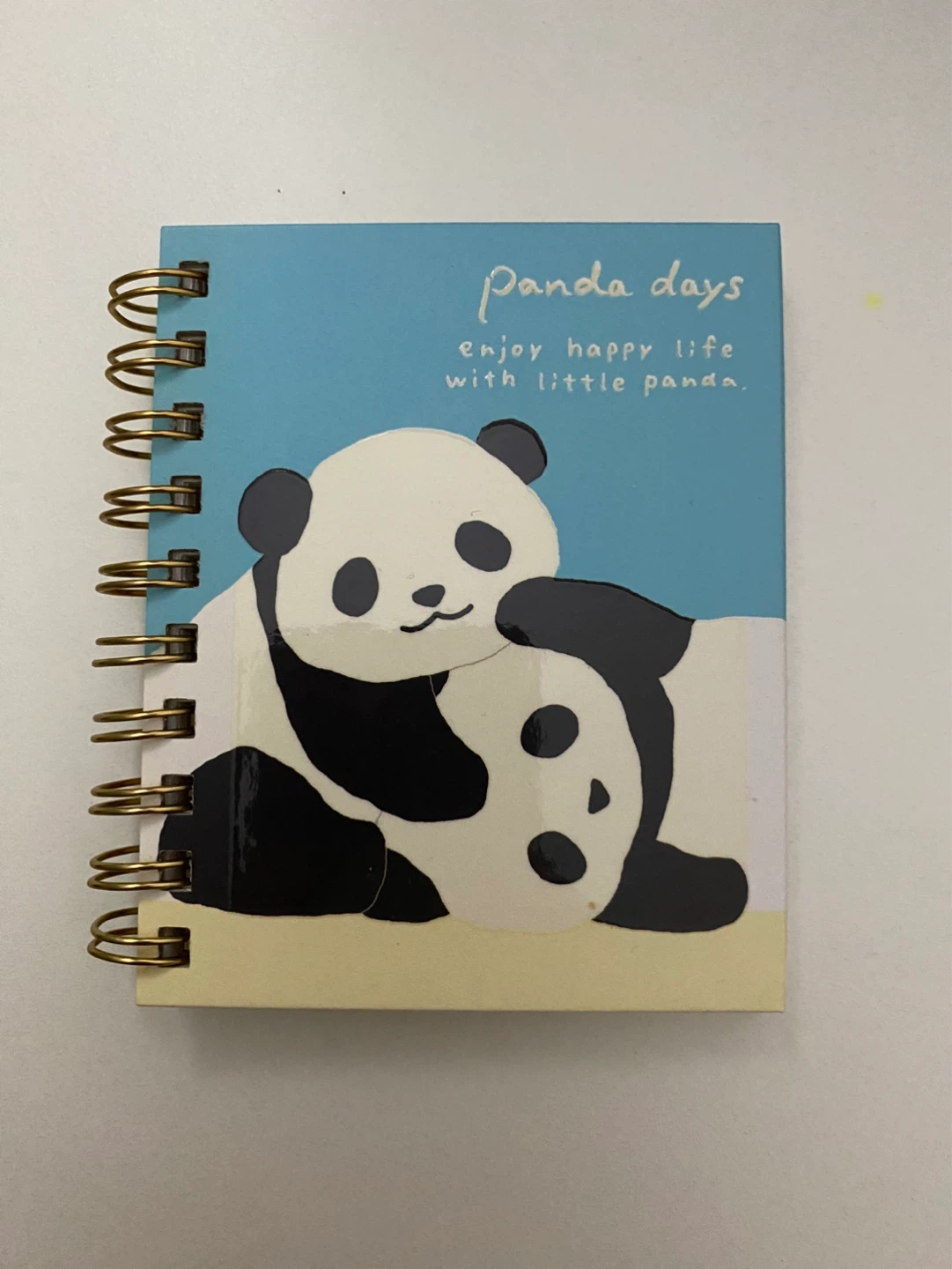Mini Notebook