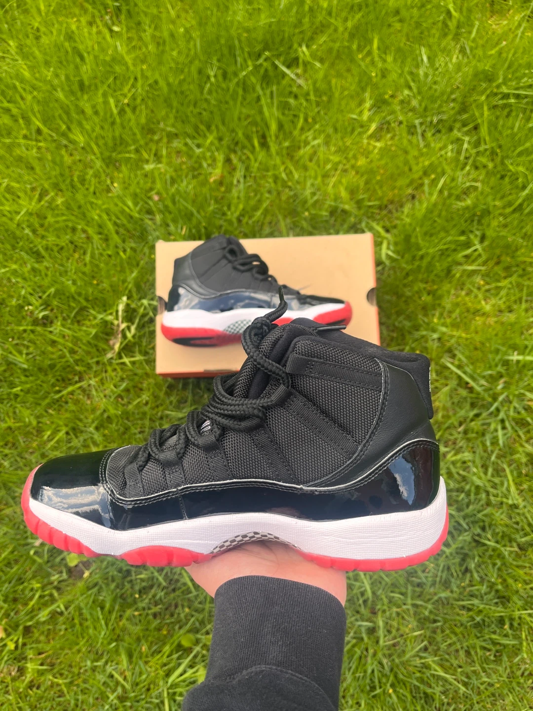 Jordan 11 bred