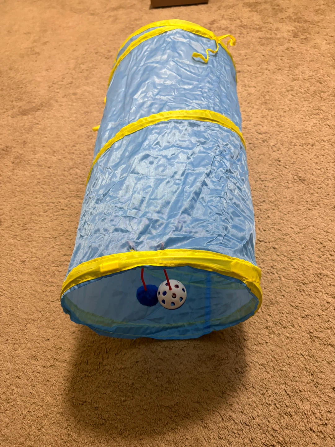 Blue and Yellow Cat Tunnel