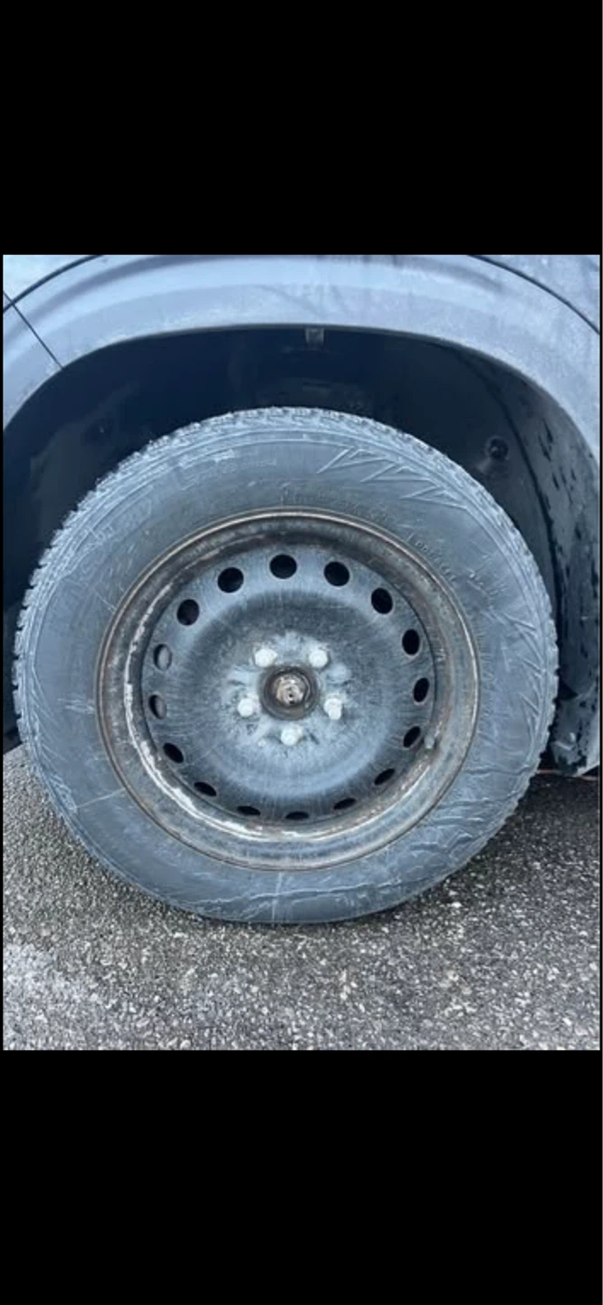 205/55R16 Winter Tire on Steel Rim