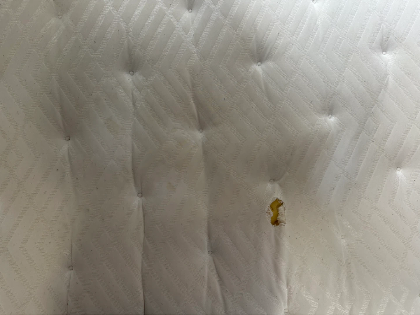 FREE Simmons Full Sized Mattress (Used) - photo 4