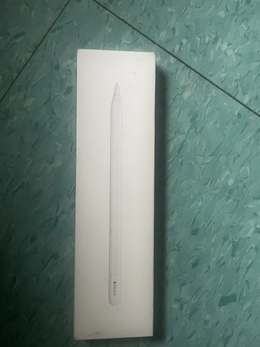 Apple Pencil (USB-C)