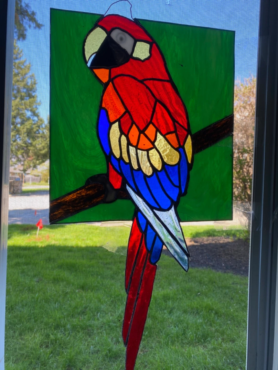 Stained Glass Parrot Window Hanging