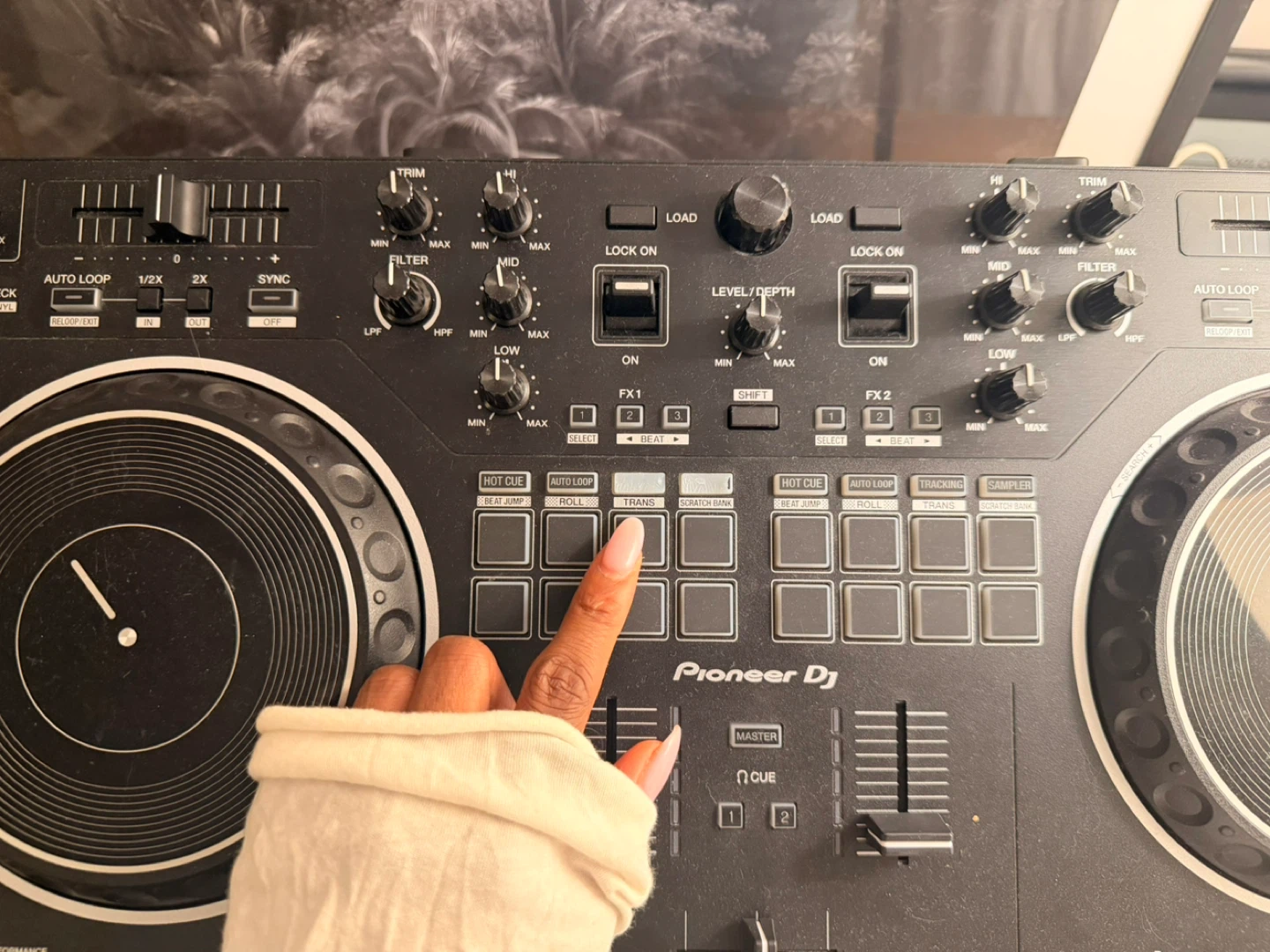 DDJ REV-1 - photo 2