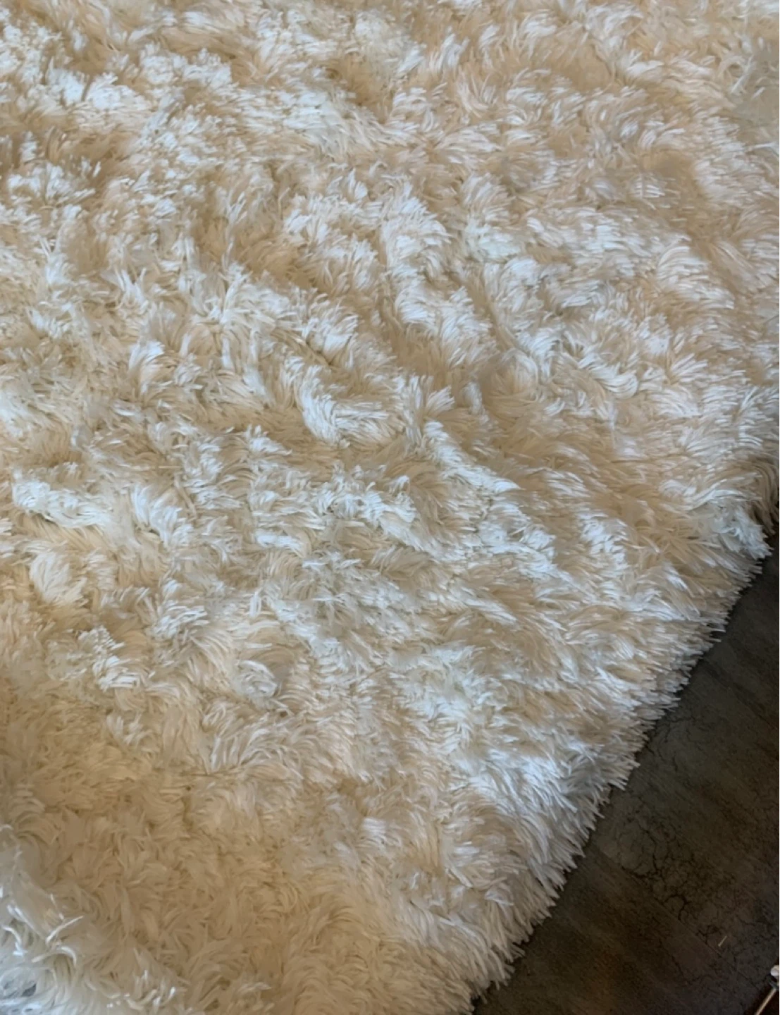 Safavieh Arctic Shag Area Rug In Ivory - photo 5