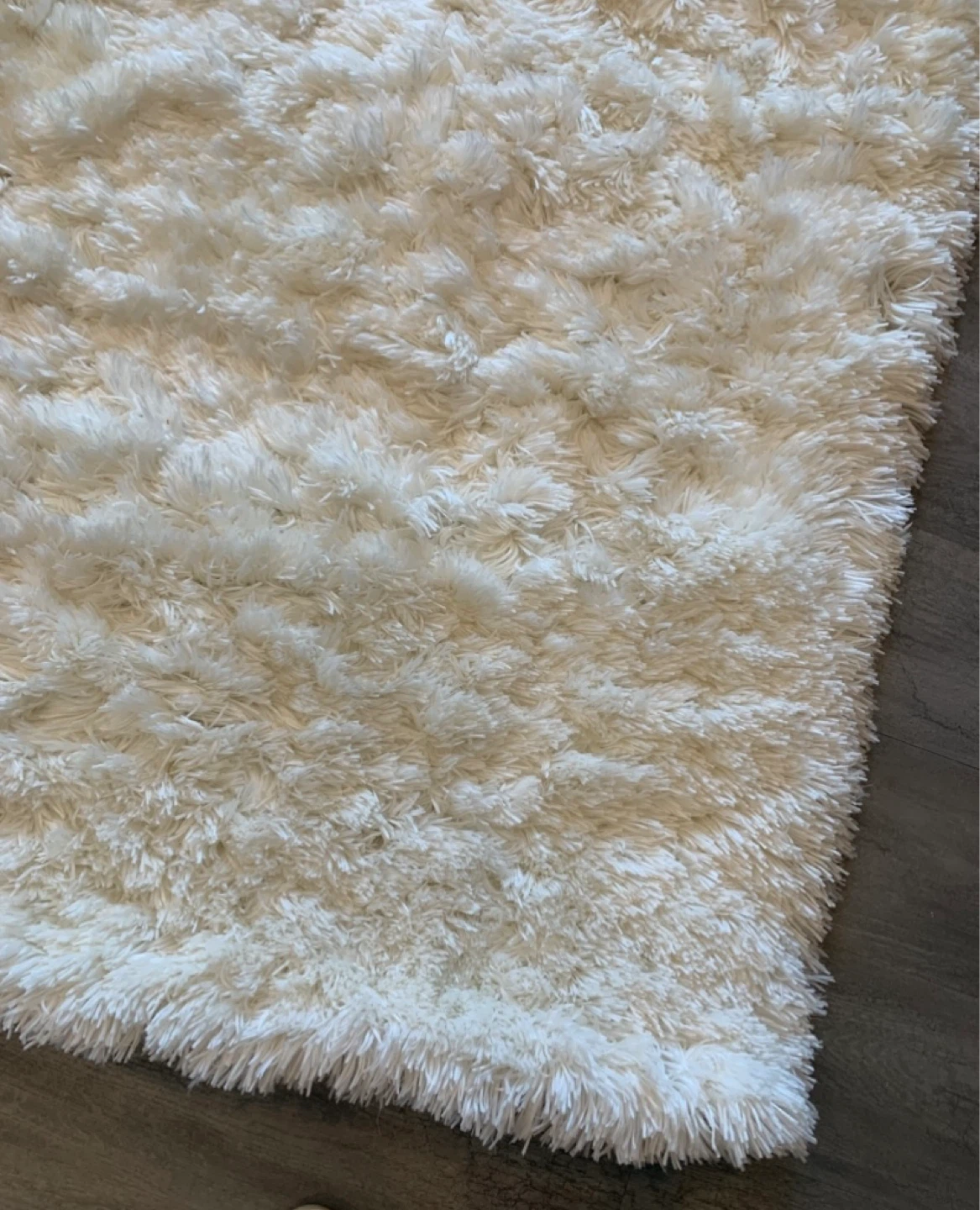 Safavieh Arctic Shag Area Rug In Ivory - photo 4