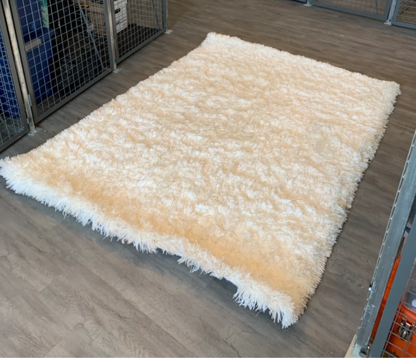 Safavieh Arctic Shag Area Rug In Ivory - photo 3