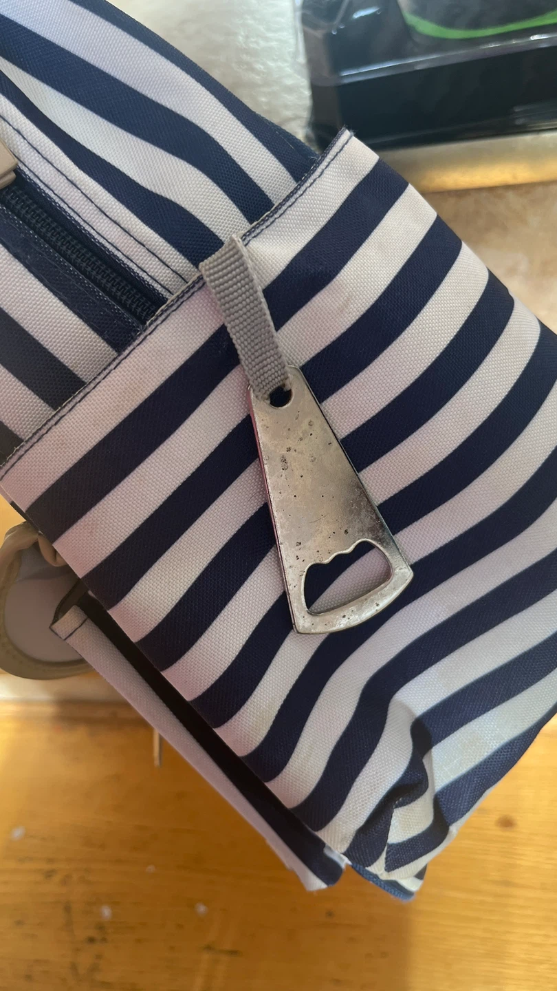 Striped Backpack Cooler Bag #Freecycle - photo 3