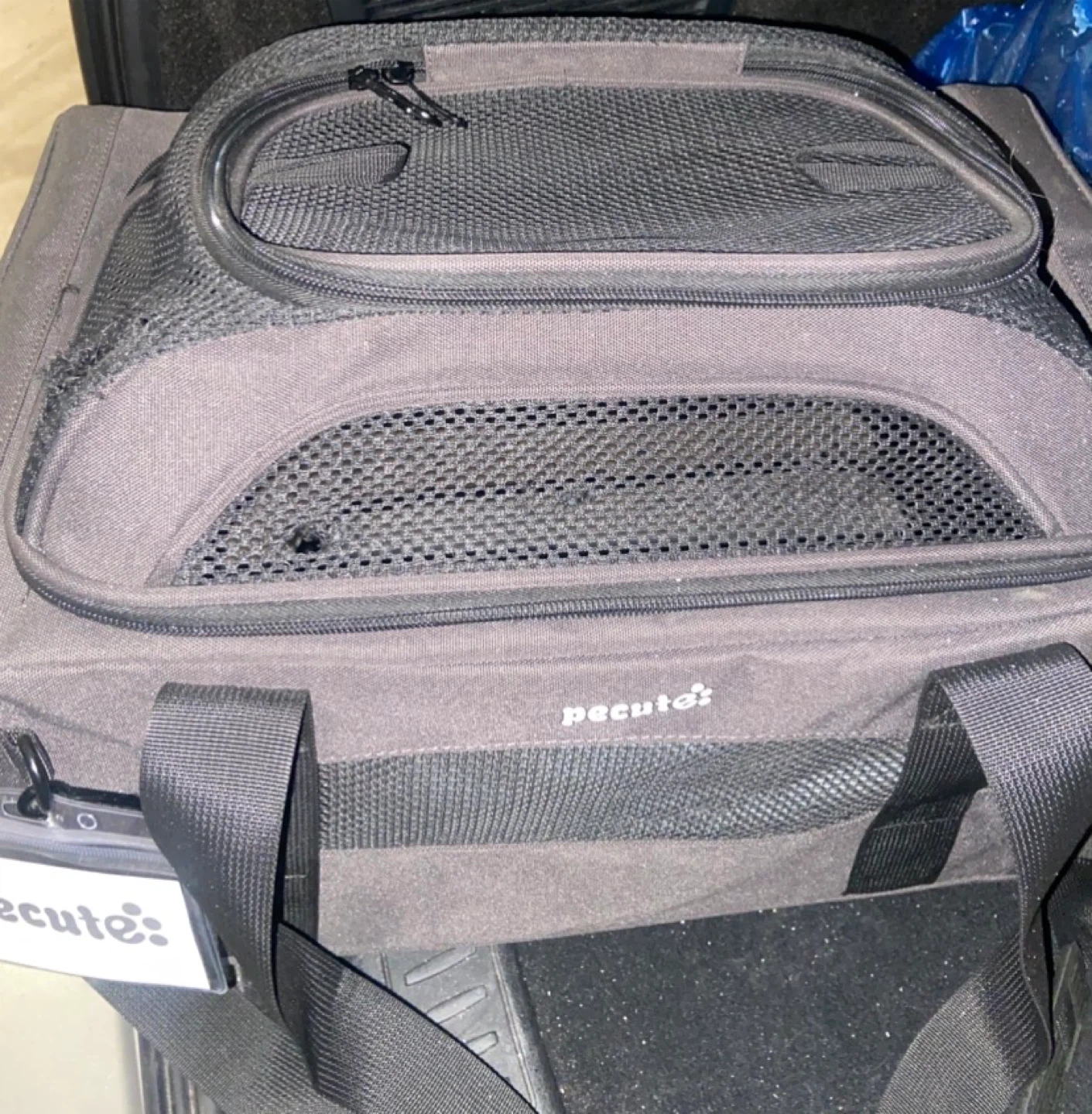 Pet Carrier Bag
