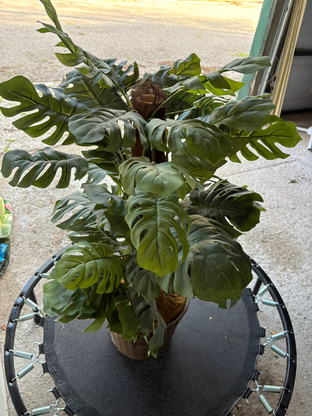 Artificial Monstera Plant